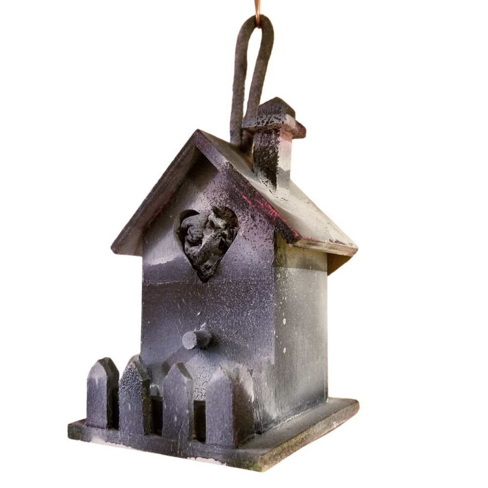 Gothic Spooky Bird Farmhouse for Door, Wall, or Decor Ready to Hang NEW